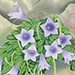 Masaharu Inoue Gallery